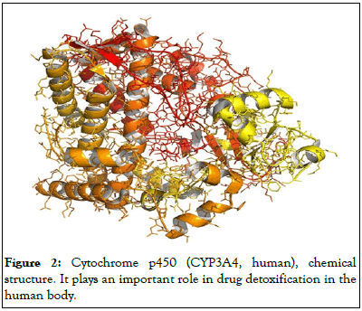 Proteomics-Bioinformatics