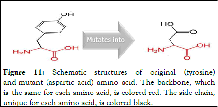 Proteomics-Bioinformatics-black