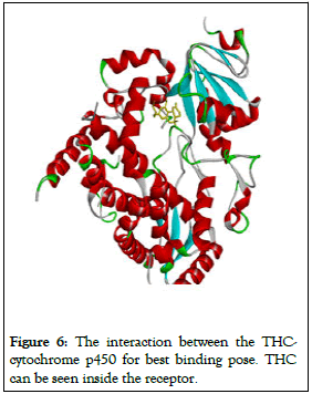 Proteomics-Bioinformatics