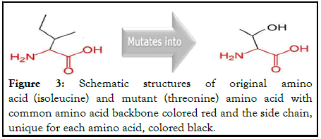 Proteomics-Bioinformatics-isoleucine