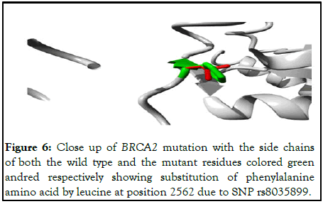 Proteomics-Bioinformatics-leucine