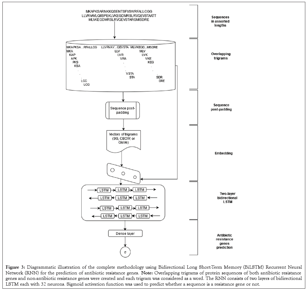 methodology