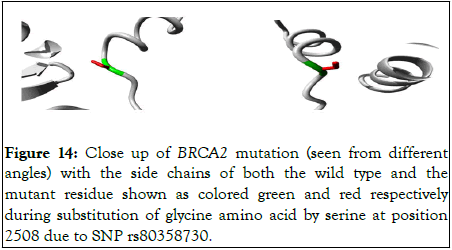 Proteomics-Bioinformatics-mutation