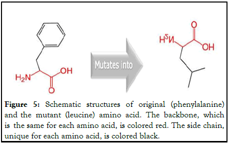 Proteomics-Bioinformatics-phenylalanine