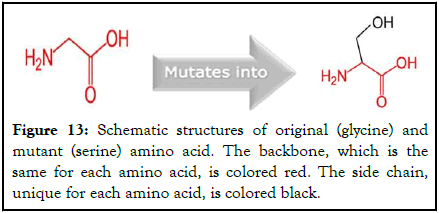 Proteomics-Bioinformatics-structures