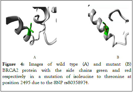 Proteomics-Bioinformatics-threonine