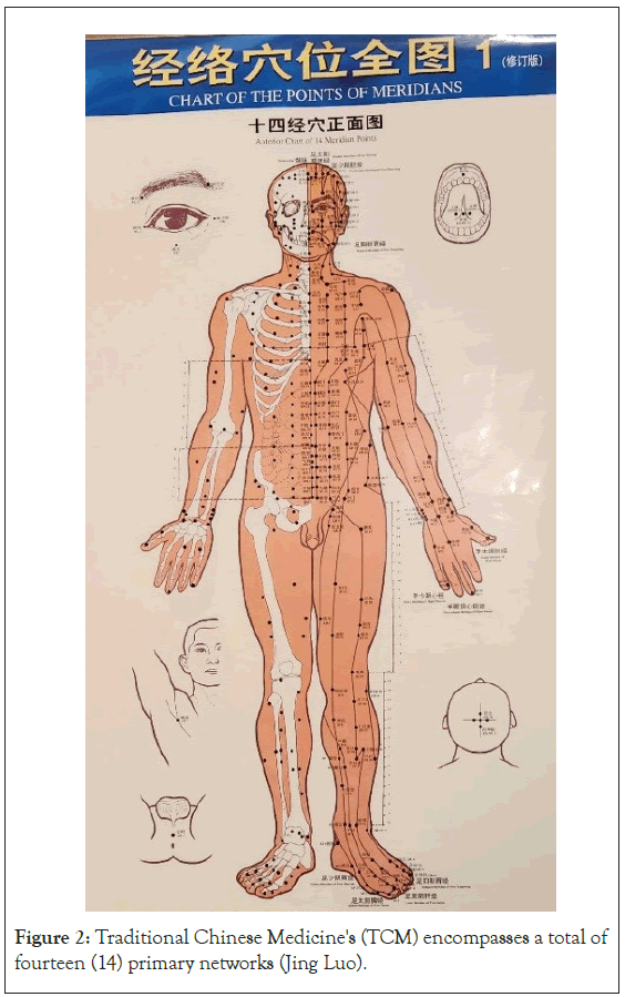 Scientific Theory of Chee and its New Principles and Visions for