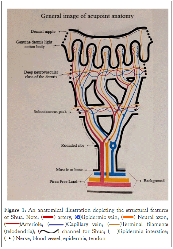 clinical-trials-tendon