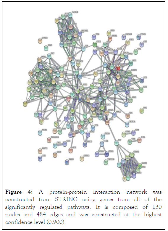 jctr-network