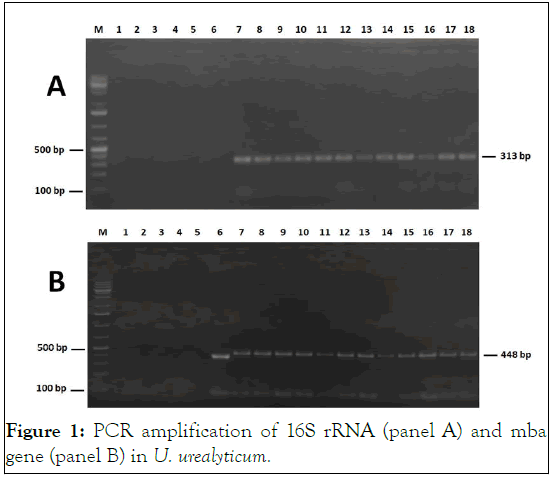 jwh-PCR