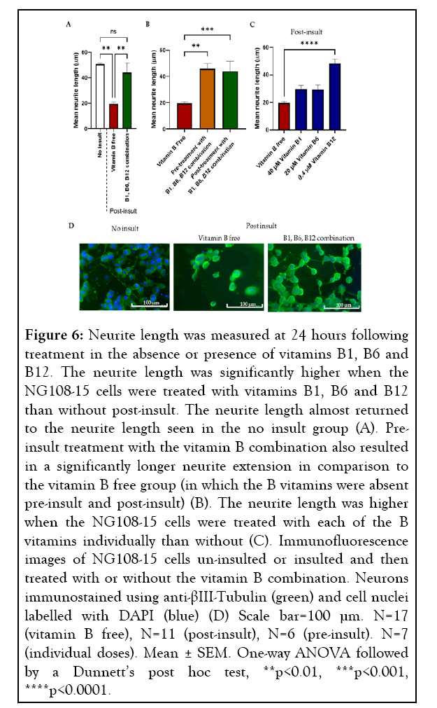 physical-medicine-immunostained