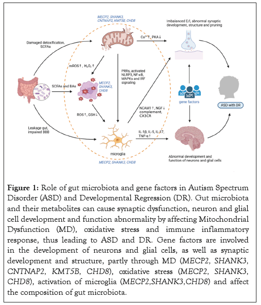 microbiota