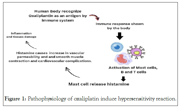 hypersensitivity