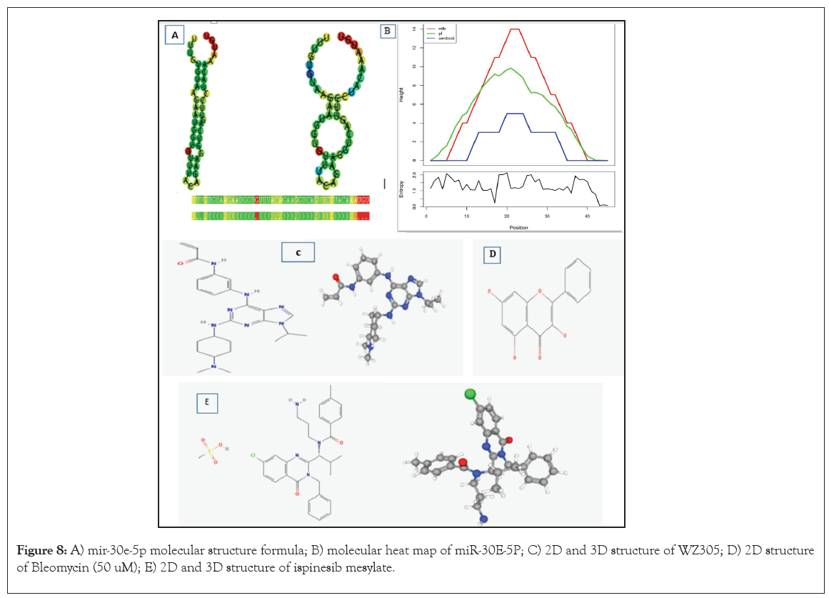 molecular