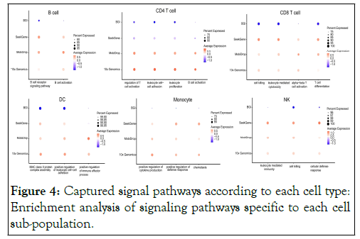 pathways