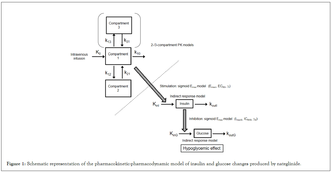 pharmacokinetic