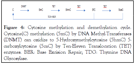 Cytosine