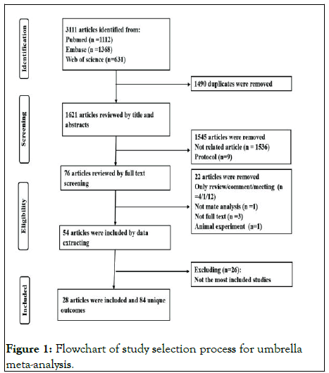 IGOA-Flowchart