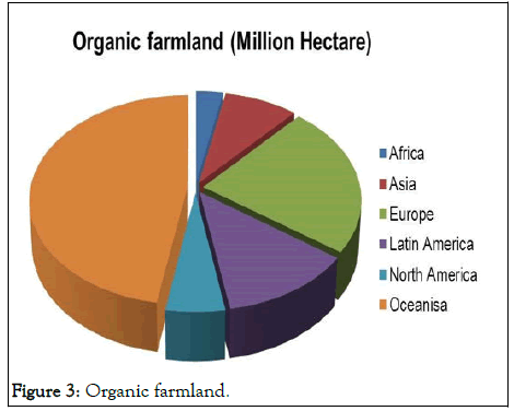 JBFBP-Organic