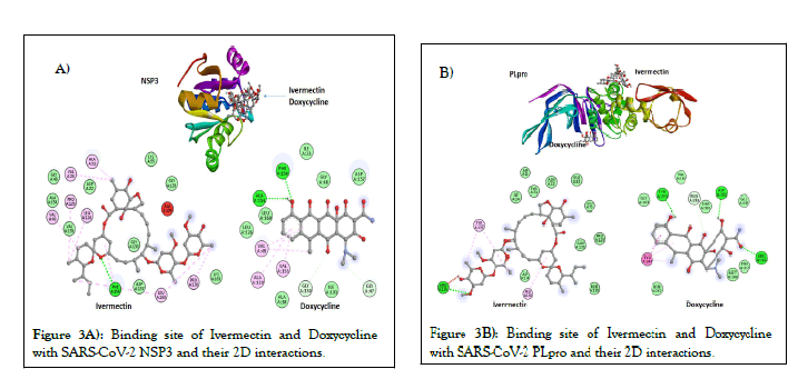 JCCI-Binding