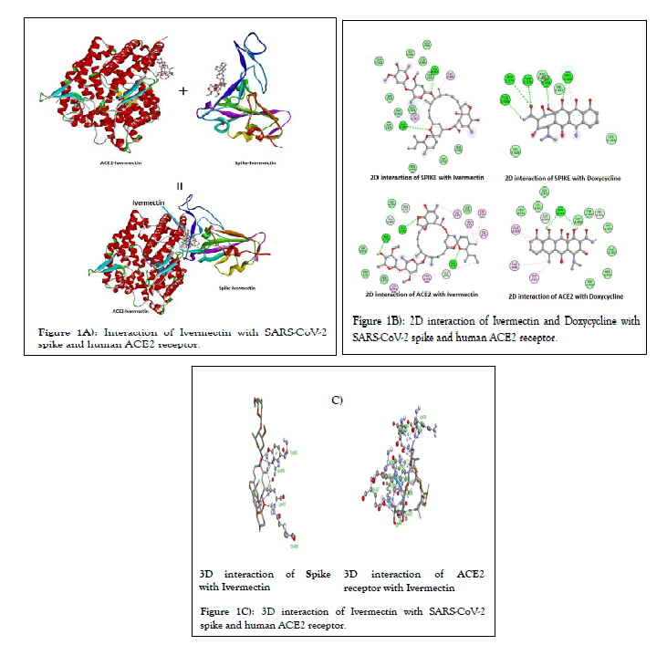 JCCI-Interaction