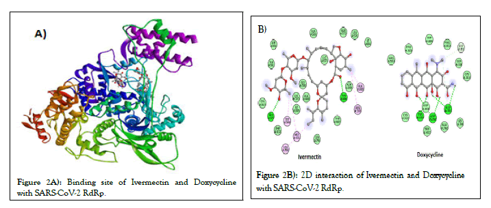 JCCI-Ivermectin