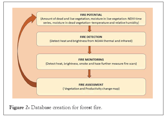 Database