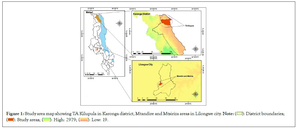 Kilupula