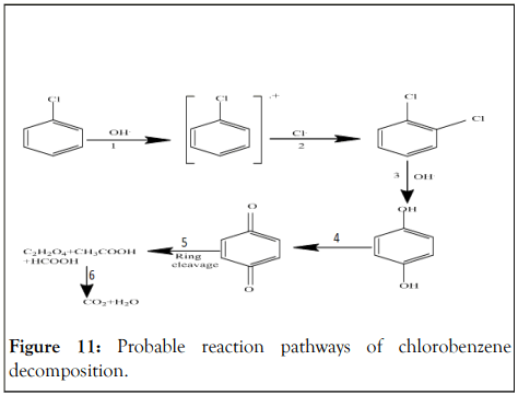 Physical-Biophysics