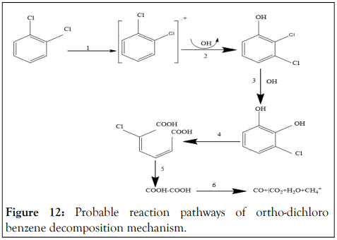 Physical-Biophysics