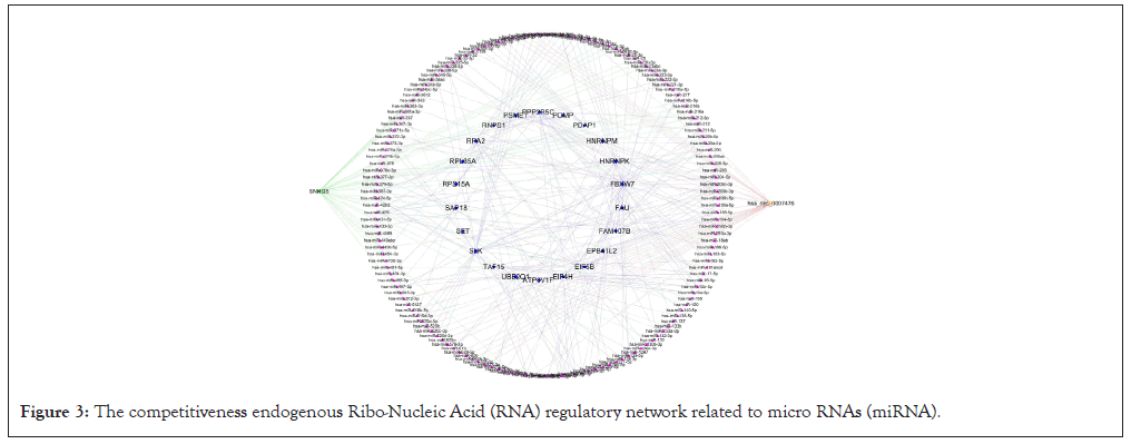 endogenous