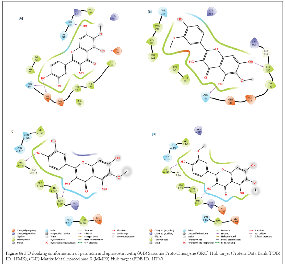 spinacetin