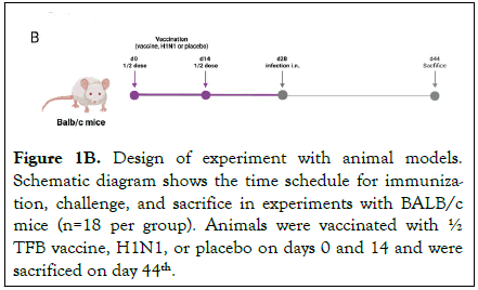 physical-medicine-rehabilitation-immunization