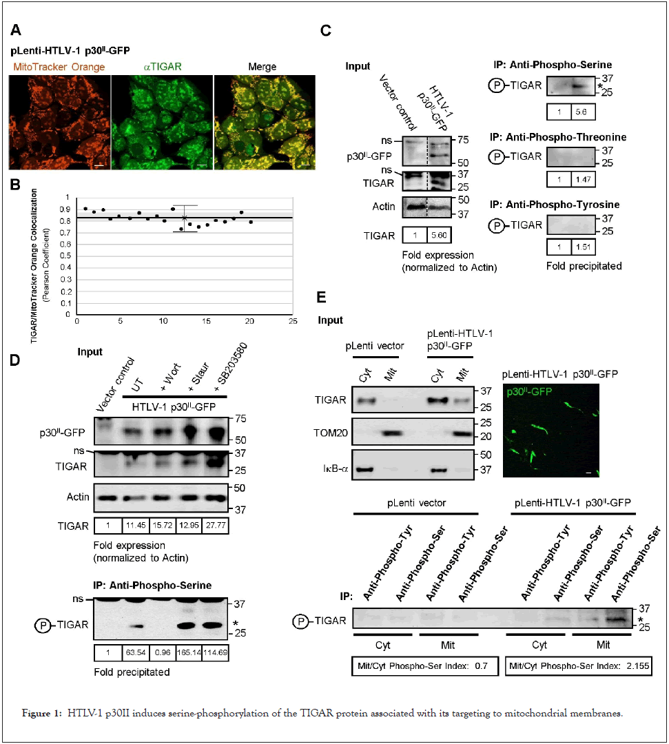 antivirals-antiretrovirals-protein