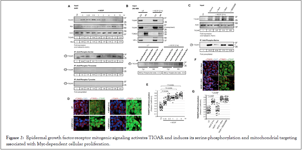 antivirals-antiretrovirals-signaling