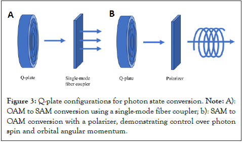 fiber