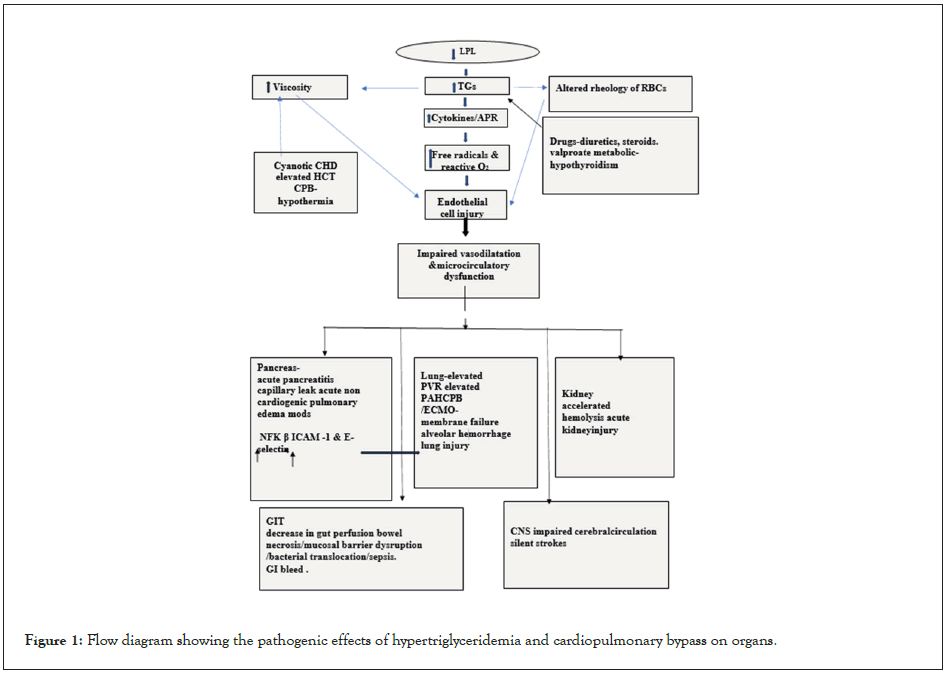 clinical-experimental-organs