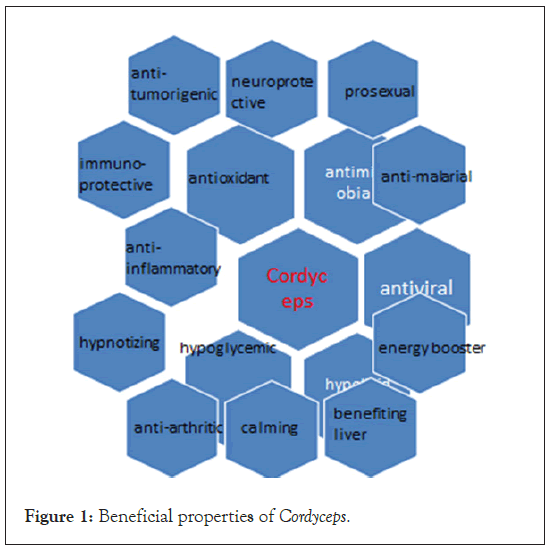 fungal-genomics-beneficial