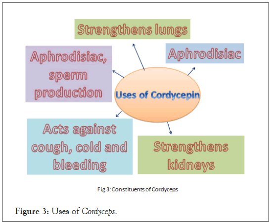 fungal-genomics-cordyceps