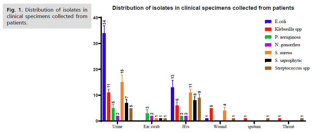 ginekologia-clinical-specimens