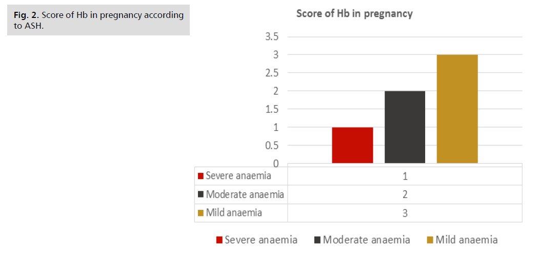 ginekologia-pregnancy