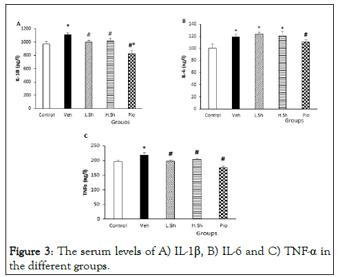 jpr-levels