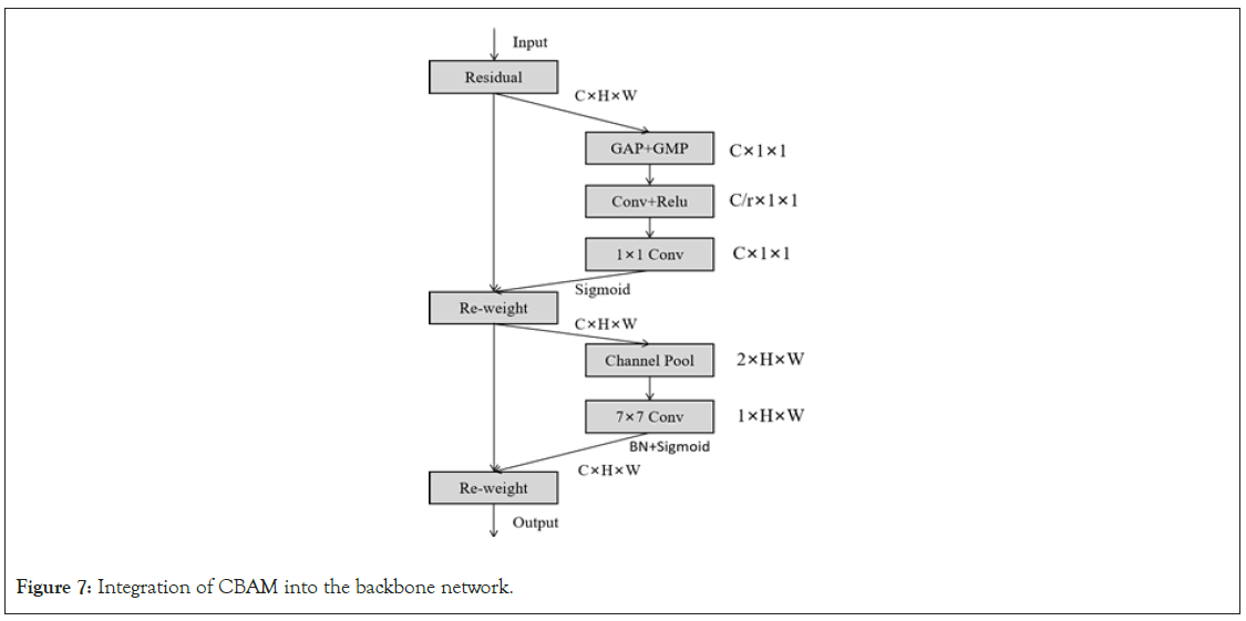 medical-backbone-network