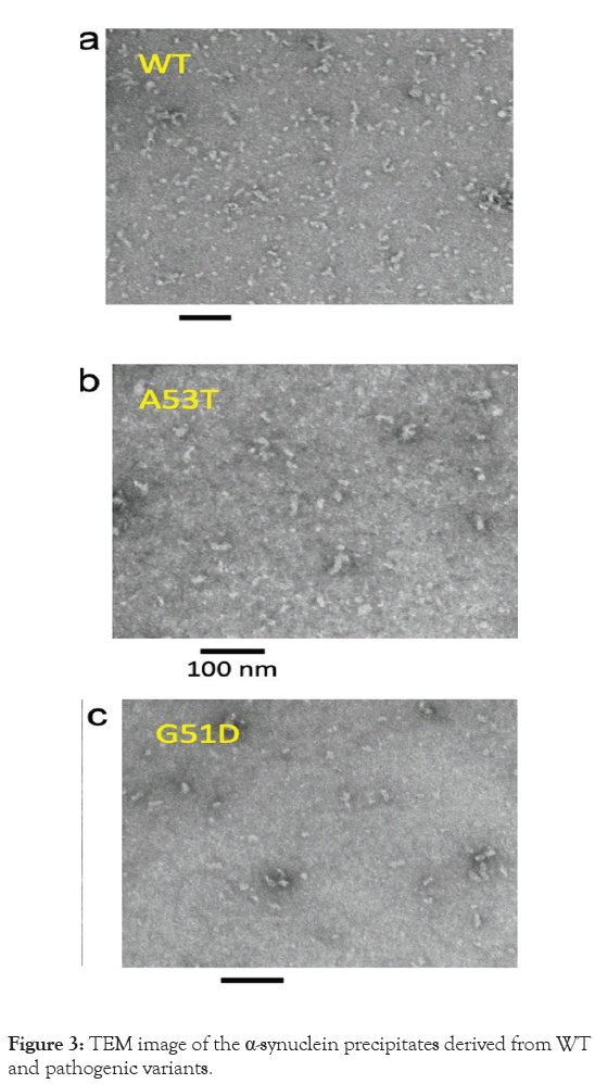 precipitates