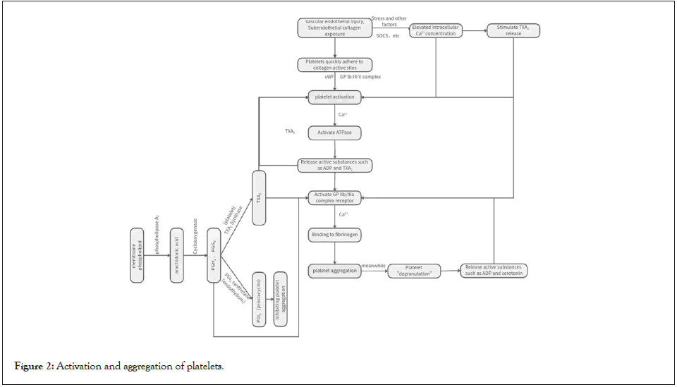 physical-medicine-rehabilitation-aggregation