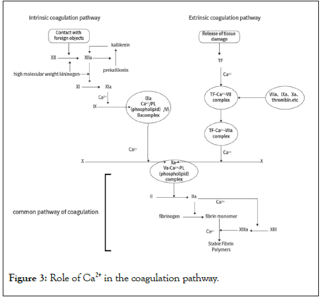 physical-medicine-rehabilitation-coagulation