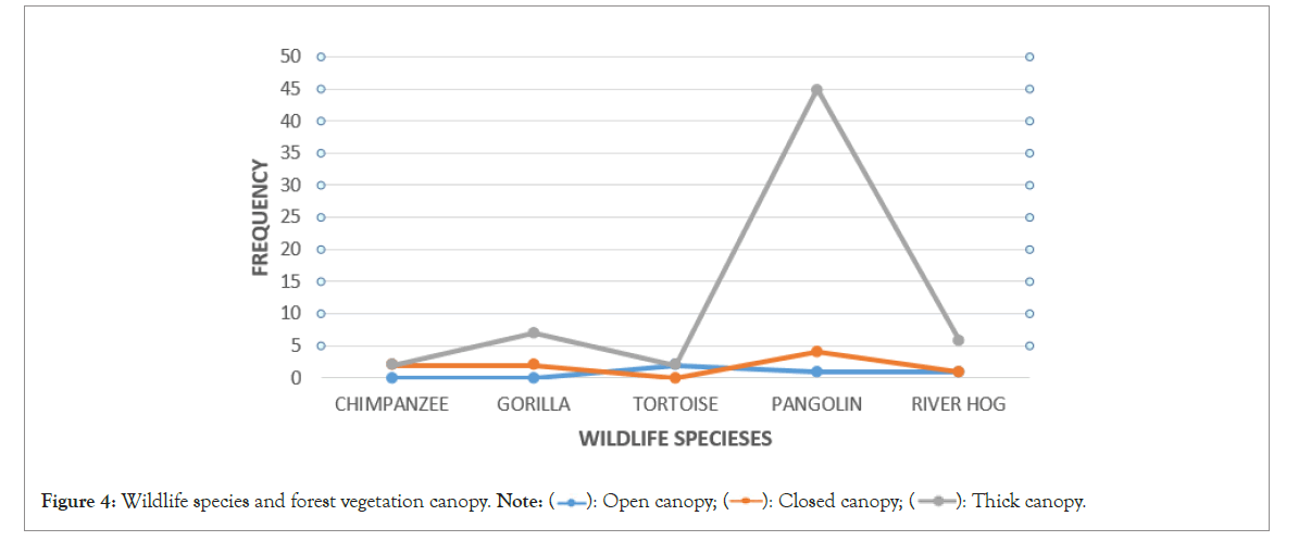 poultry-fisheries-canopy