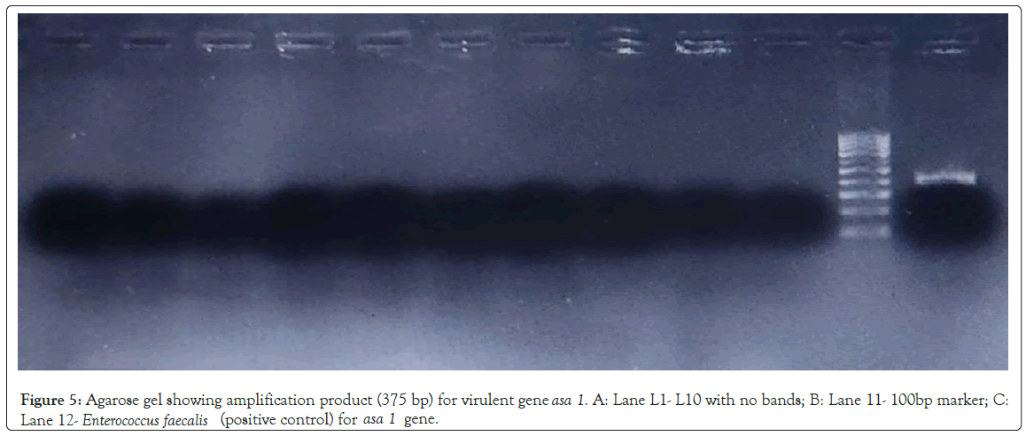 probiotics-agarose