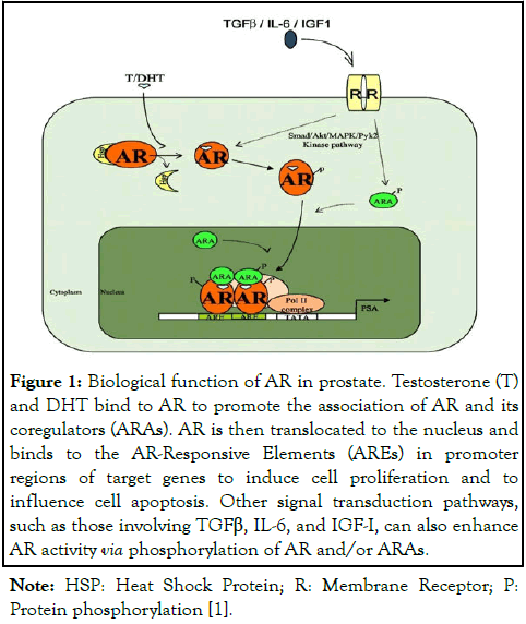 Andrology-Biological