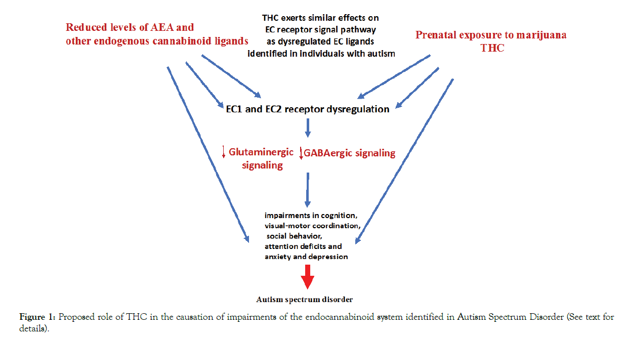 Autism-Proposed-role